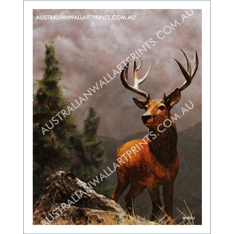 Red Stag in the Highlands Art Print