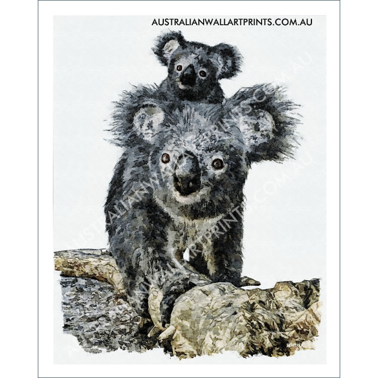 Australian koala art print