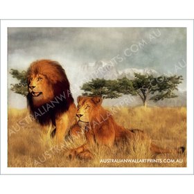 Lions Art Print