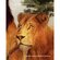 Wall Art African Lions