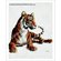 Sitting Tiger Art Print