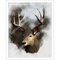 Red Stag Digital Oil Painting